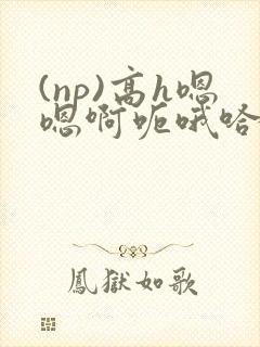 (np)高h嗯嗯啊呃哦哈
