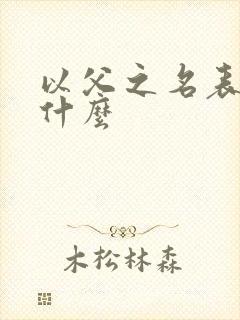 以父之名表达了什么