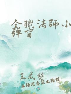 全职法师小说无弹窗