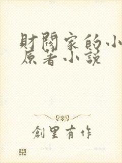 财阀家的小儿子原著小说