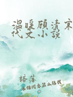 温暖顾清寒的年代文小说