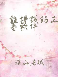 能借钱的正规平台软件