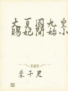 大夏国九皇子从赐妃开始小说