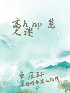 高h np 万人迷