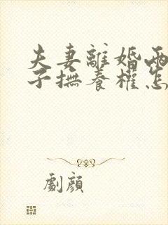 夫妻离婚两个孩子抚养权怎么判