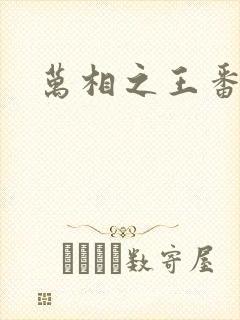 万相之王番外