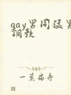gay男同猛男调教