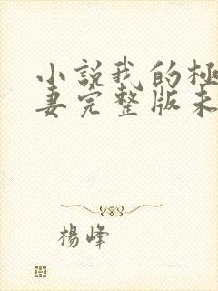 小说我的极品娇妻完整版未删减小说