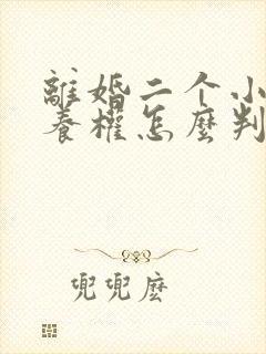 离婚二个小孩抚养权怎么判