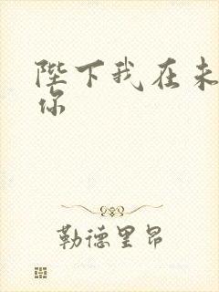 陛下我在未来等你