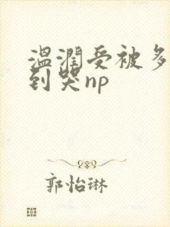 温润受被多攻做到哭np