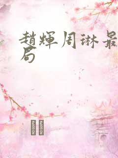 赵辉周琳最后结局