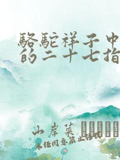 骆驼祥子中可怕的二十七指什么