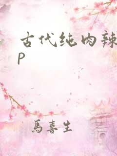 古代纯肉辣文np