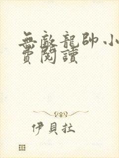 无敌龙帅小说免费阅读