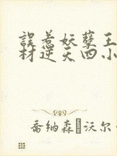 误惹妖孽王爷废材逆天四小姐