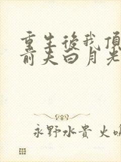 重生后我顶替了前夫白月光 第507章