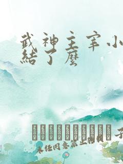 武神主宰小说完结了么