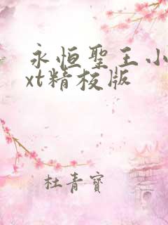 永恒圣王小说txt精校版