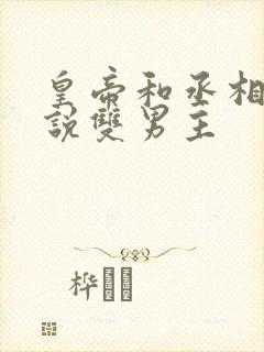 皇帝和丞相的小说双男主