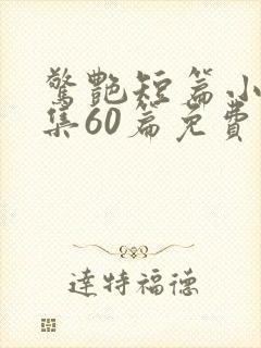 惊艳短篇小说合集60篇免费