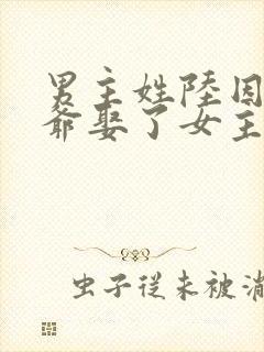 男主姓陆因为爷爷娶了女主的小说