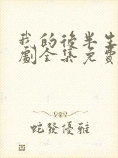 我的后半生电视剧全集免费观看高清版