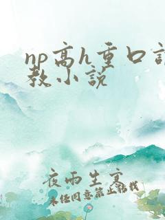 np高h重口调教小说