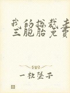 我的总裁老婆是三胞胎免费阅读