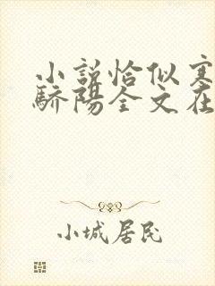 小说恰似寒光遇骄阳全文在线阅读