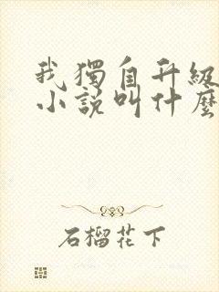 我独自升级原著小说叫什么