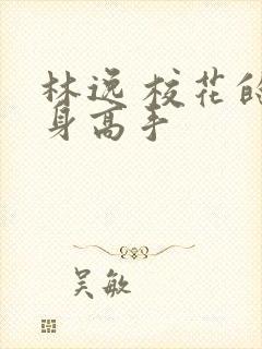 林逸 校花的贴身高手