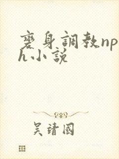 变身调教np高h小说