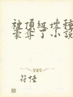 被顶级坏种强取豪夺了小说