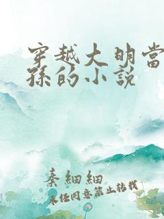 穿越大明当皇太孙的小说