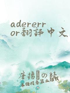 adererror翻译中文