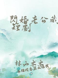 闪婚老公藏不住 短剧