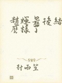 赵辉最后结局怎么样了