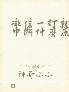 微信一打就通话中断什么原因