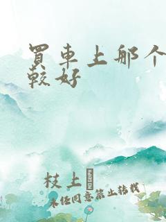 买车上那个网比较好