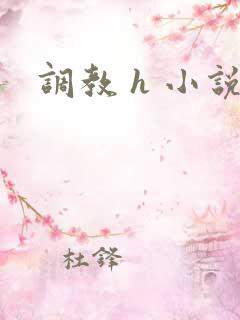 调教 h 小说