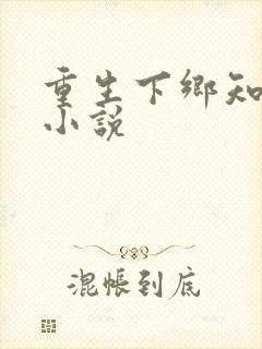 重生下乡知青的小说