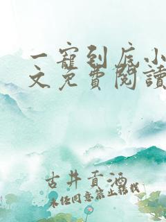 一宠到底小说全文免费阅读