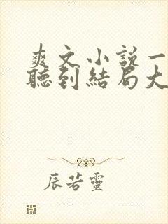 爽文小说一口气听到结局大女主