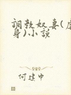 调教奴妻(虐女身)小说