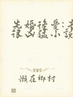 先婚后爱:老公很凶猛小说免费阅读