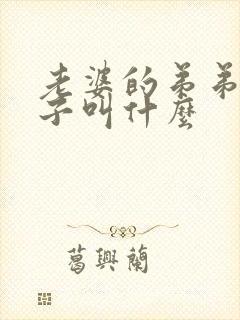 老婆的弟弟的儿子叫什么