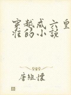 穿越成六皇子李准的小说