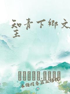 知青下乡文双男主