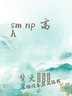sm np 高h